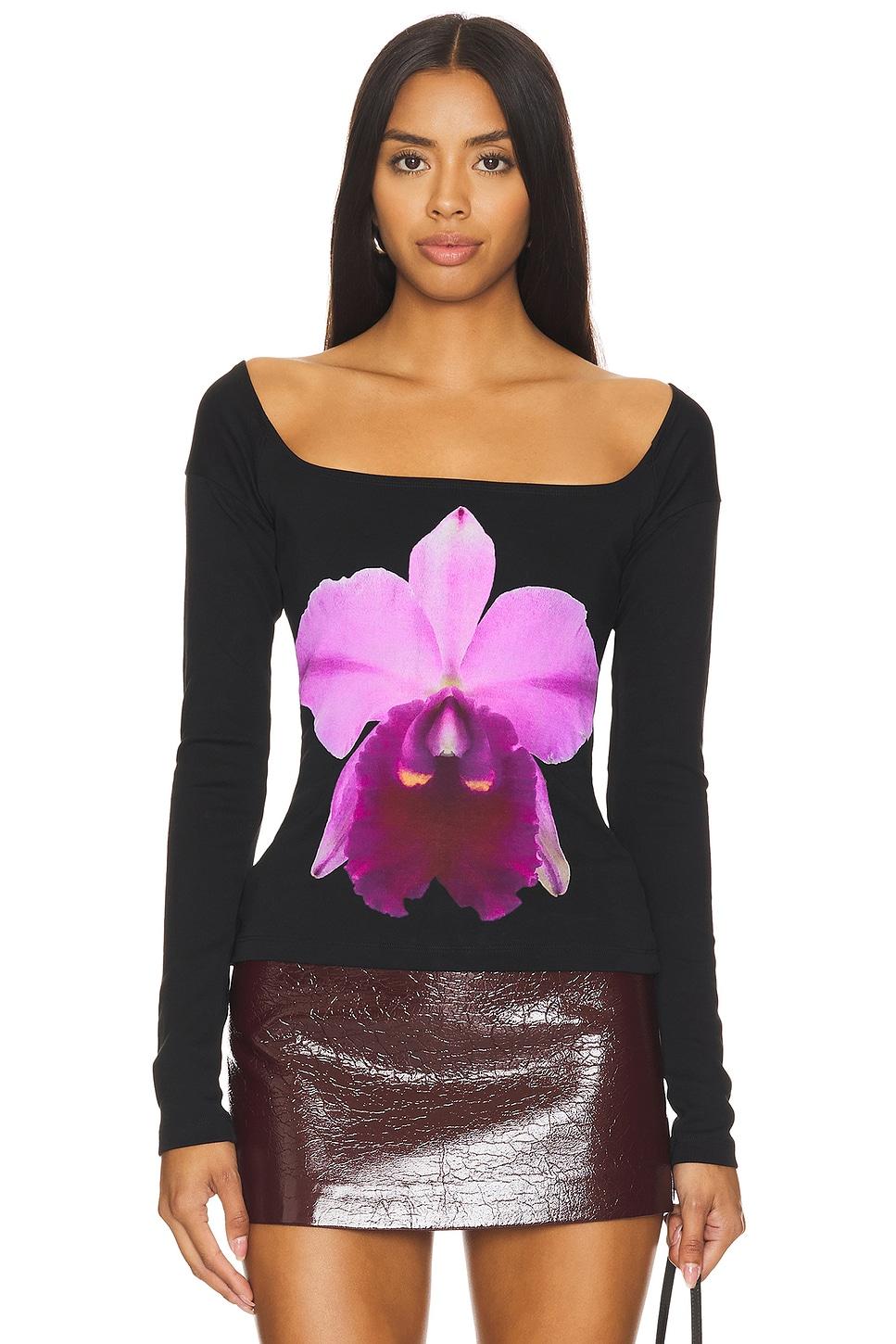 cattleya top