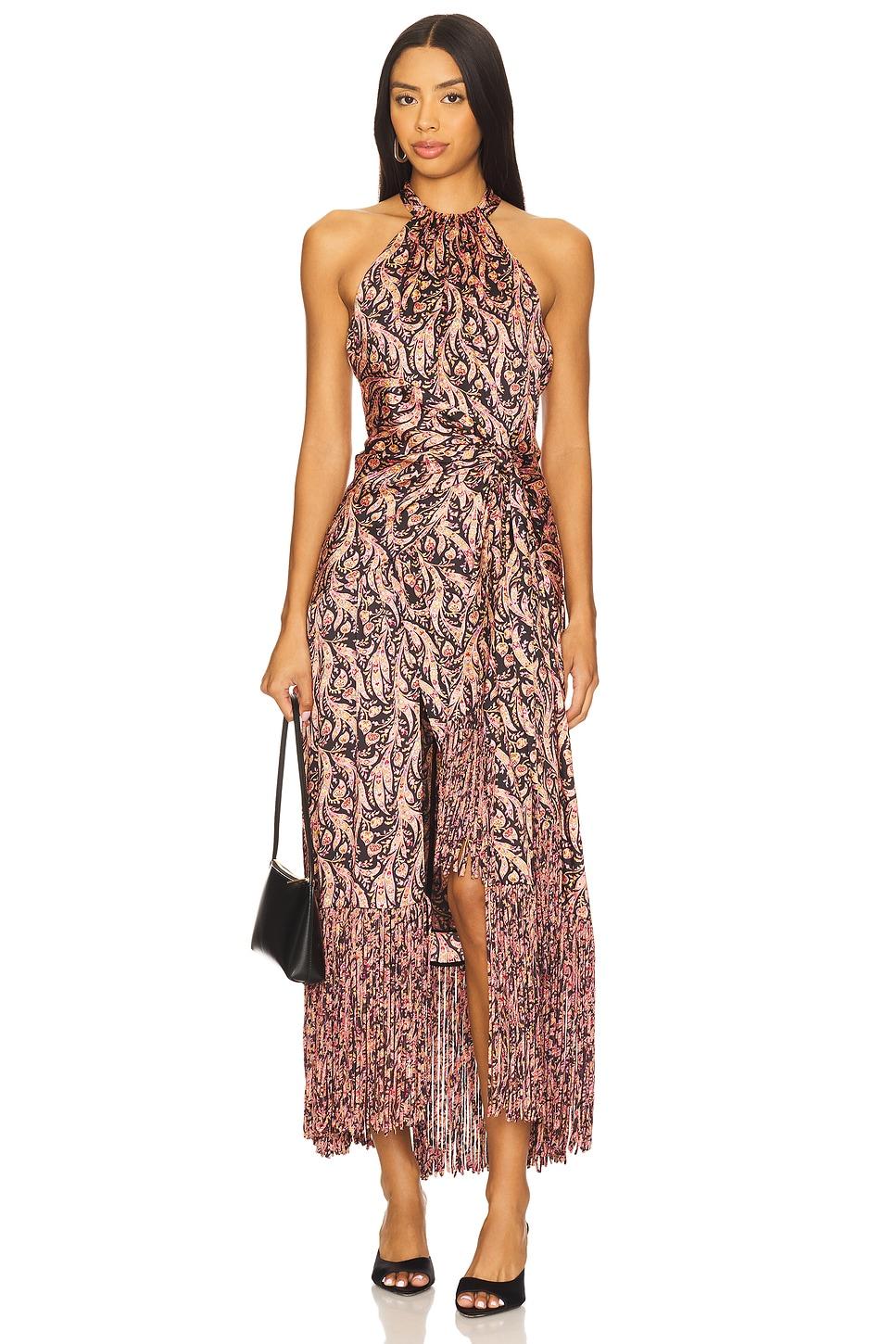 charming paisley teresa dress