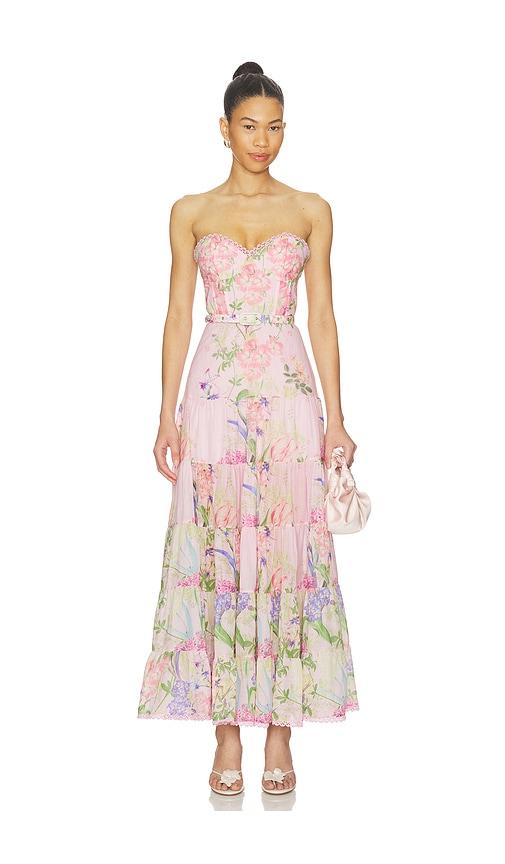charo ruiz ibiza danny long dress in pink.