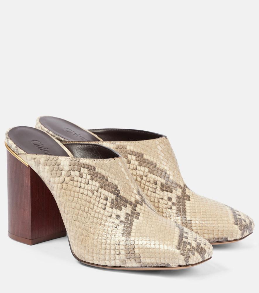 chloé ambre snake