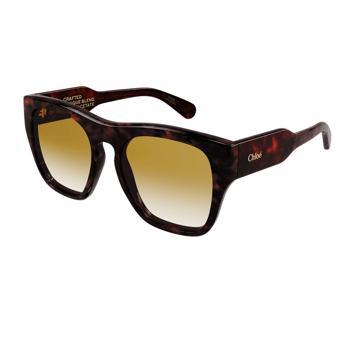 chloé ch0149s marrone celluloid occhiali sole - women