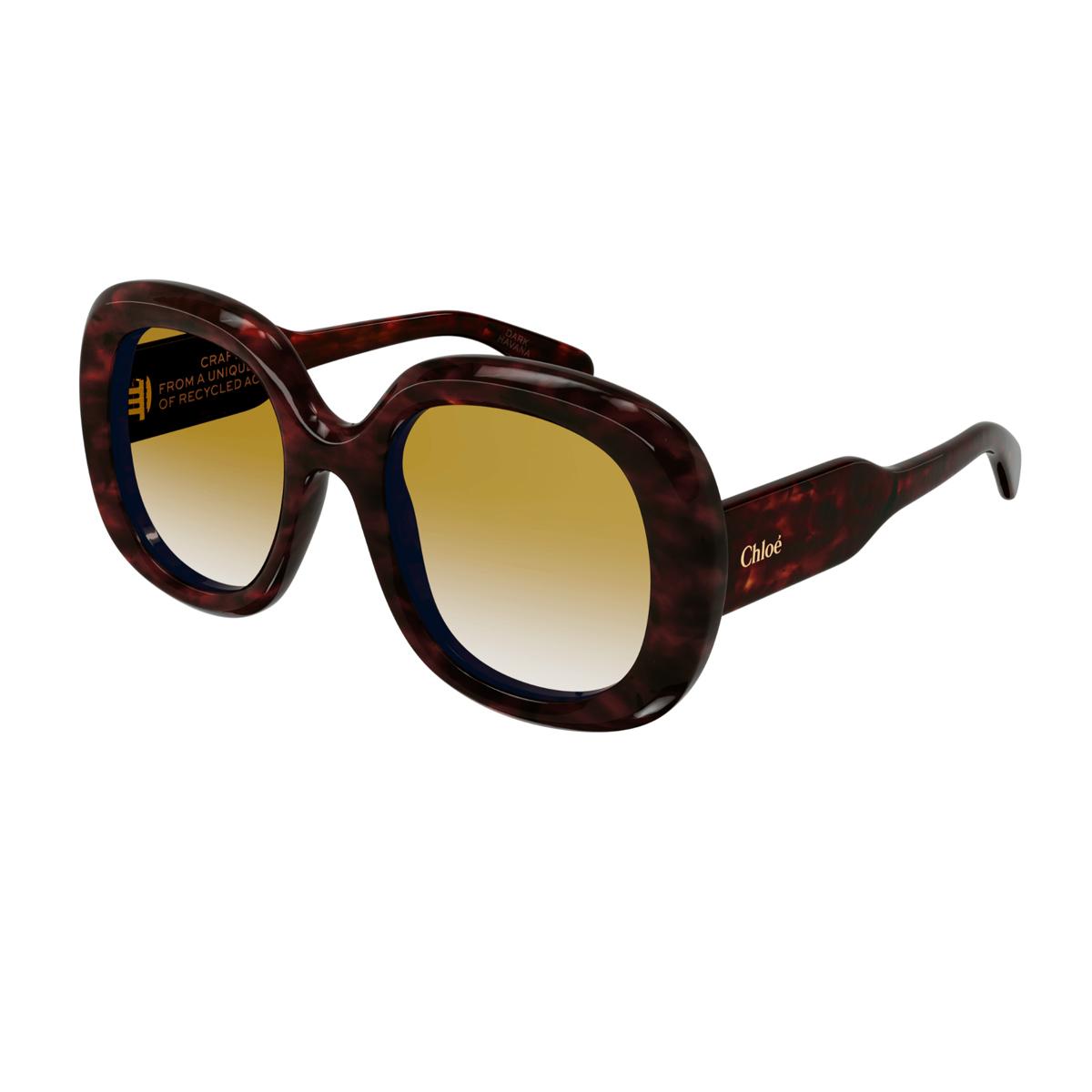 chloé ch0153s marrone celluloid occhiali sole - women