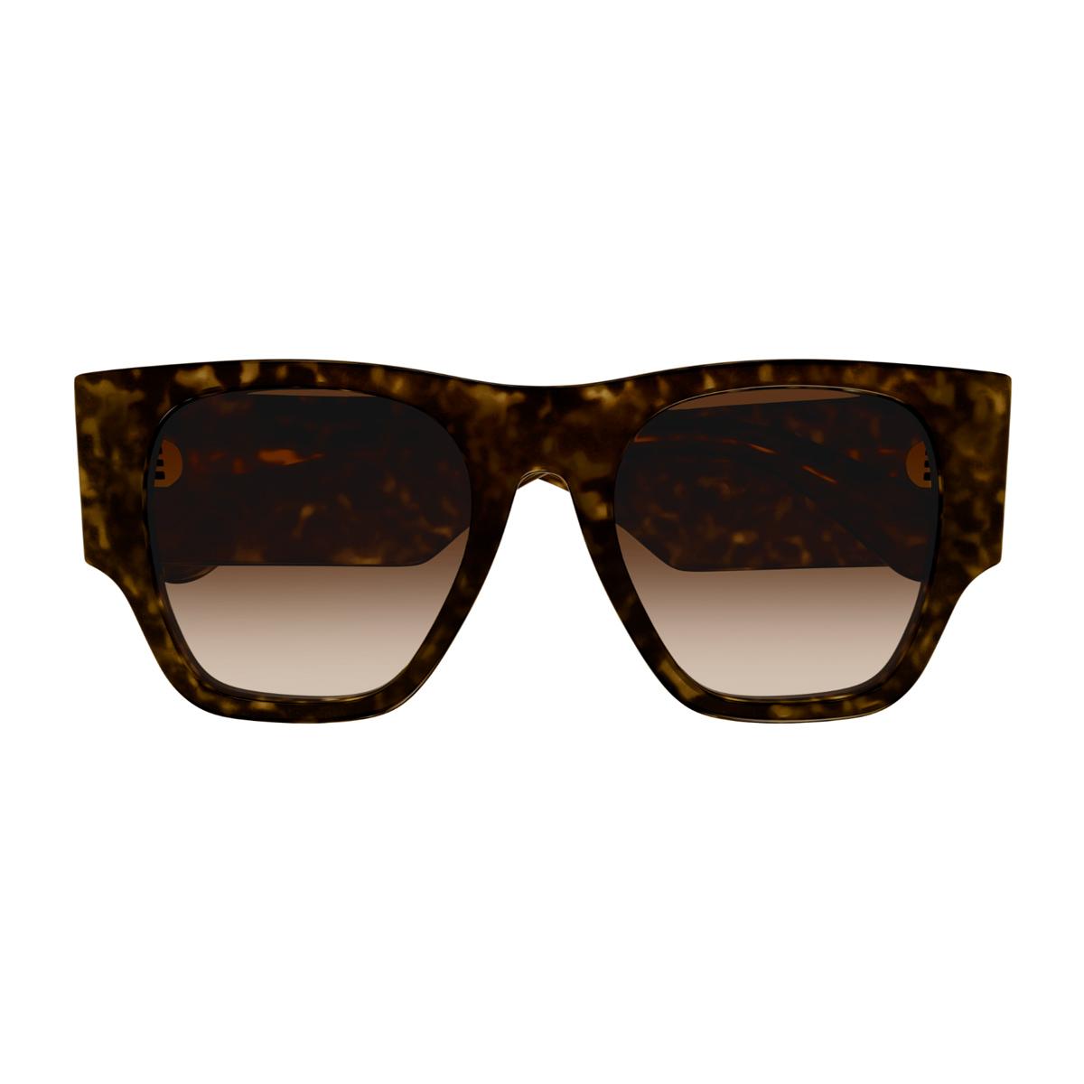 chloé ch0233s linea 002 havana brown marrone acetate occhiali da sole - women