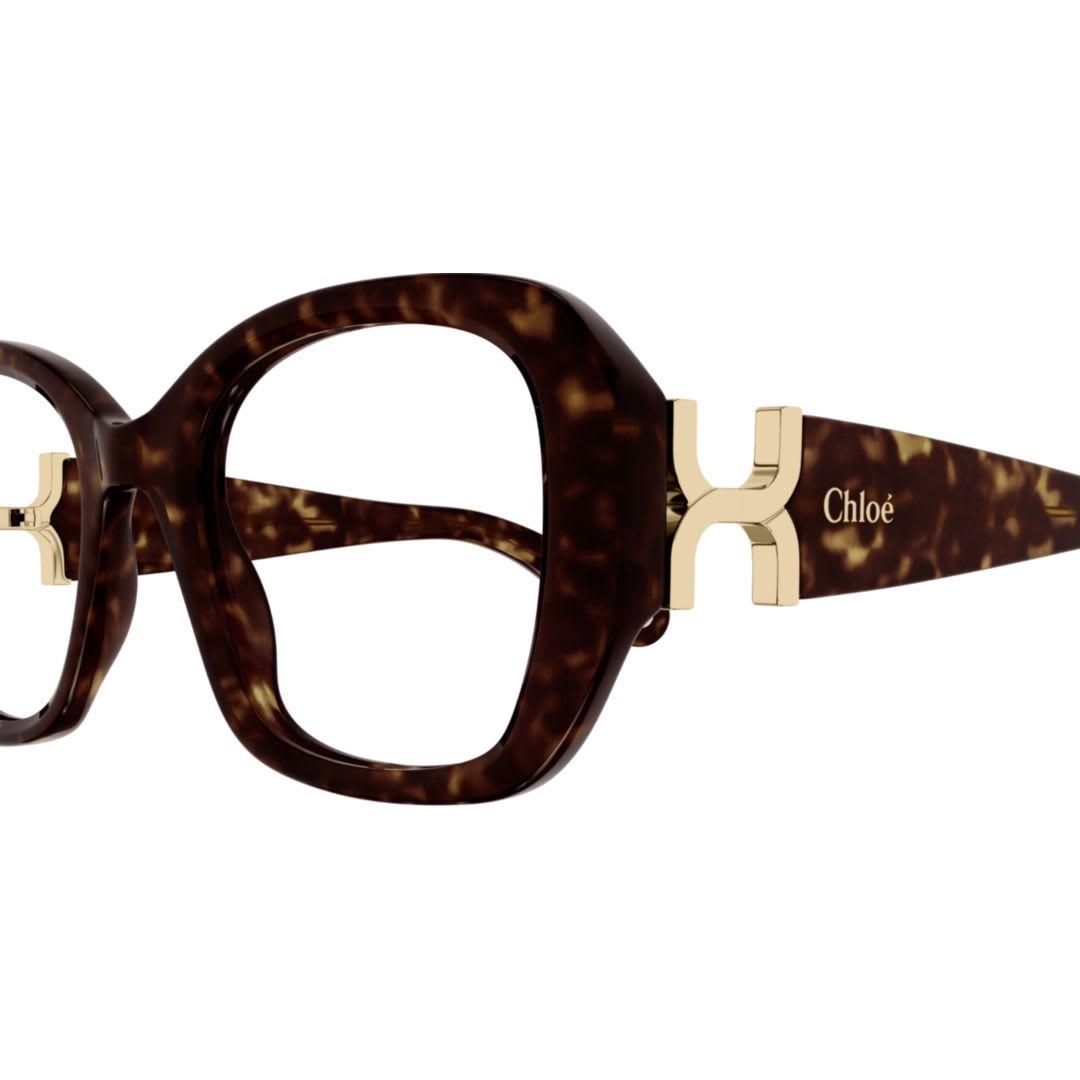 chloé ch0239o-002havana-havana-transparent