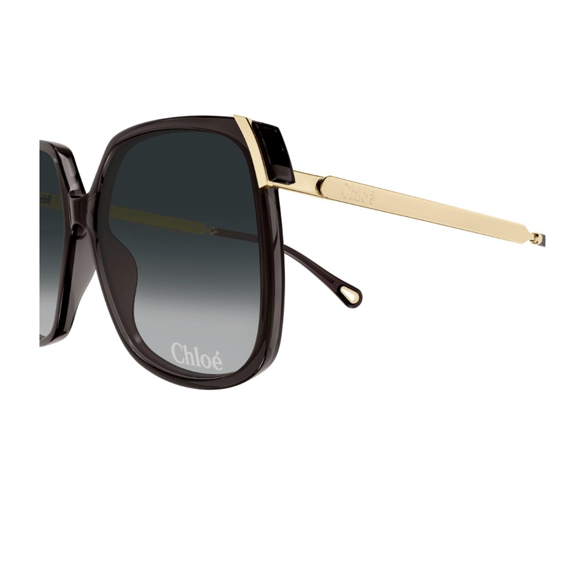 chloé ch0286s aly linea 001 grey gold grigio recycled acetate/metal occhiali da sole - women