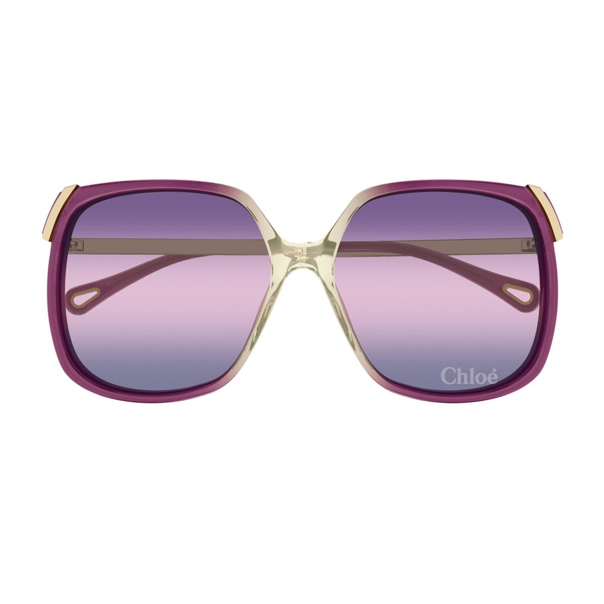 chloé ch0286s aly linea chloé 006 burgundy gold violet sunglasses