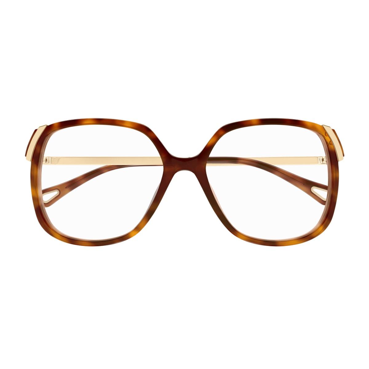 chloé ch0287o aly linea chloé 002 havana gold glasses
