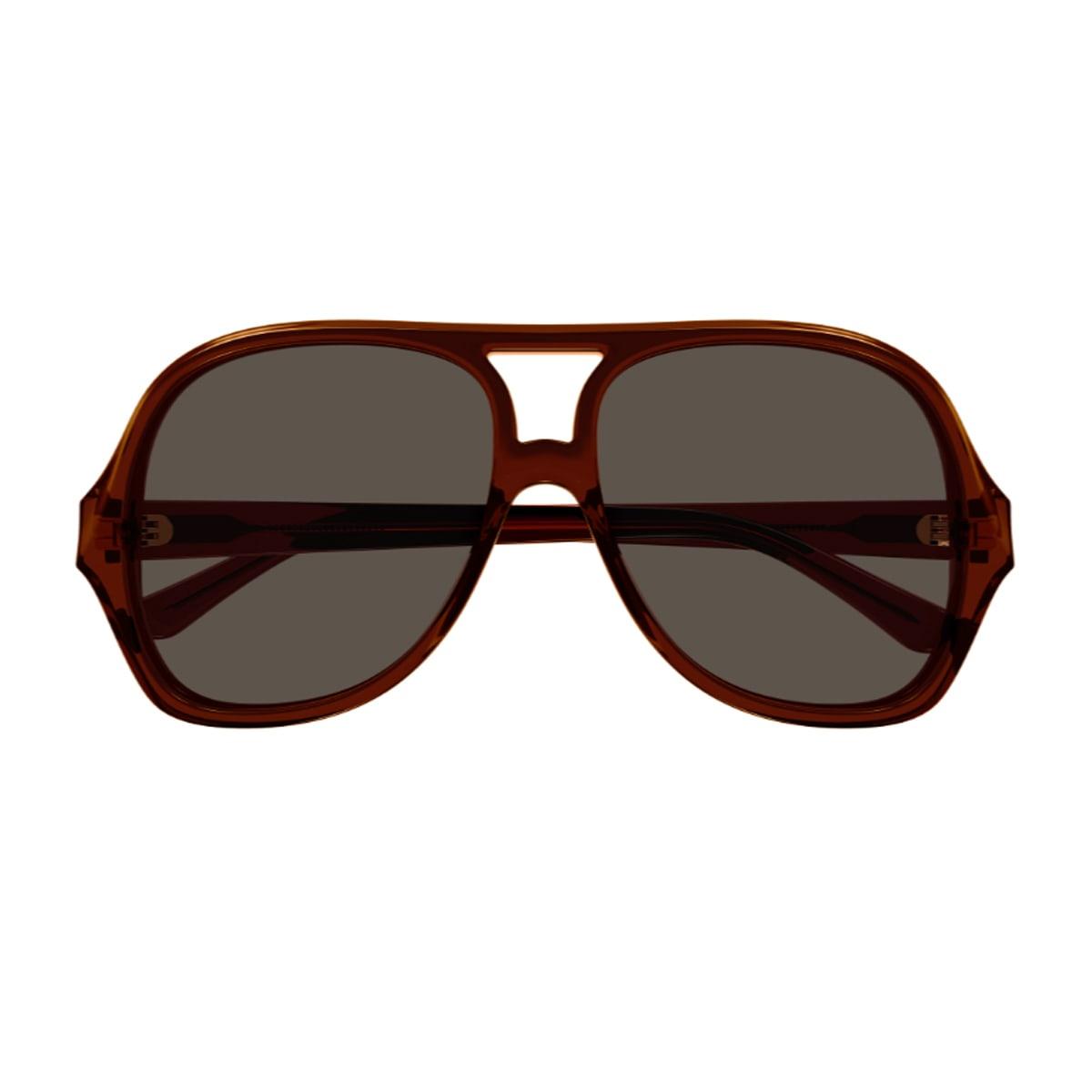 chloé ch0289s salomé linea chloé 002 brown sunglasses