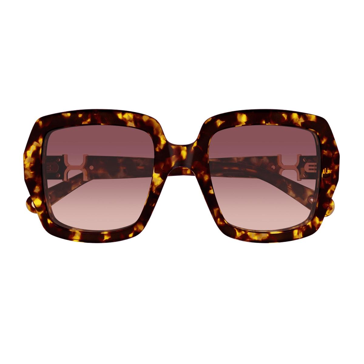 chloé ch0301s marcie-linea chloé 002 havana red sunglasses