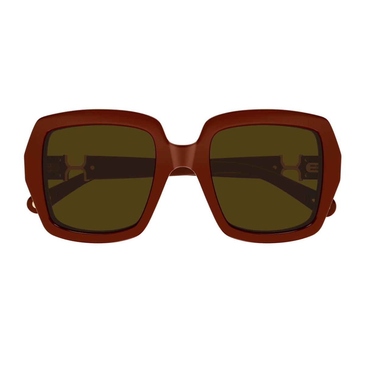 chloé ch0301s marcie-linea chloé 004 burgundy brown sunglasses