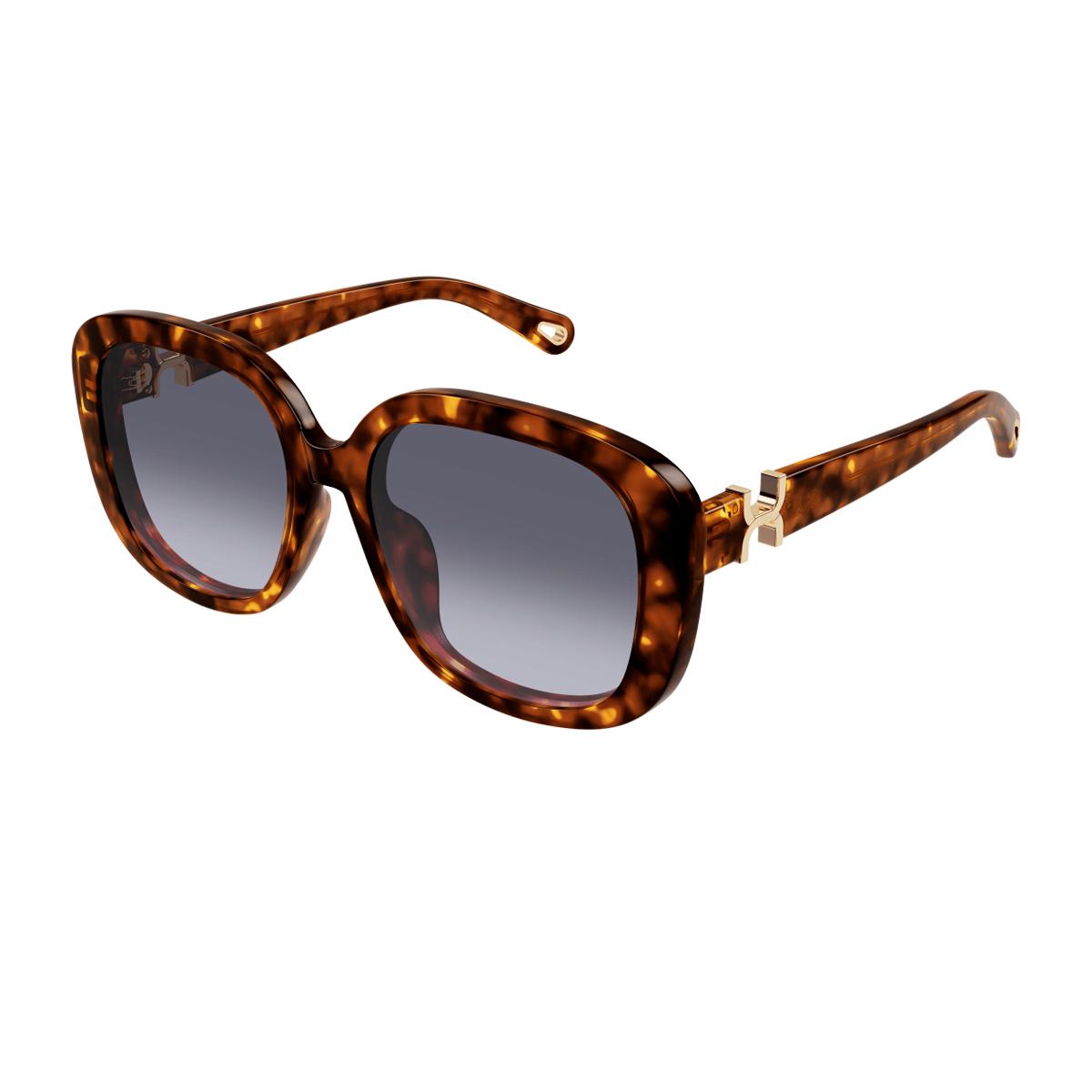 chloé ch0303sk marcie-linea 002 havana violet recycled acetate occhiali da sole - women