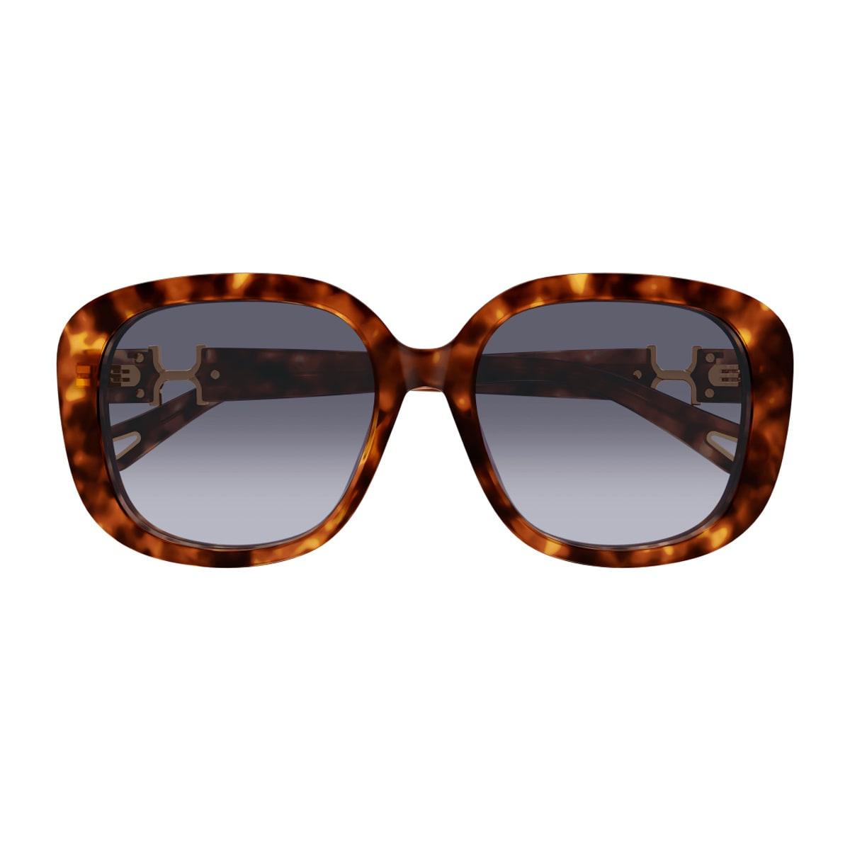 chloé ch0303sk marcie-linea chloé 002 havana violet sunglasses