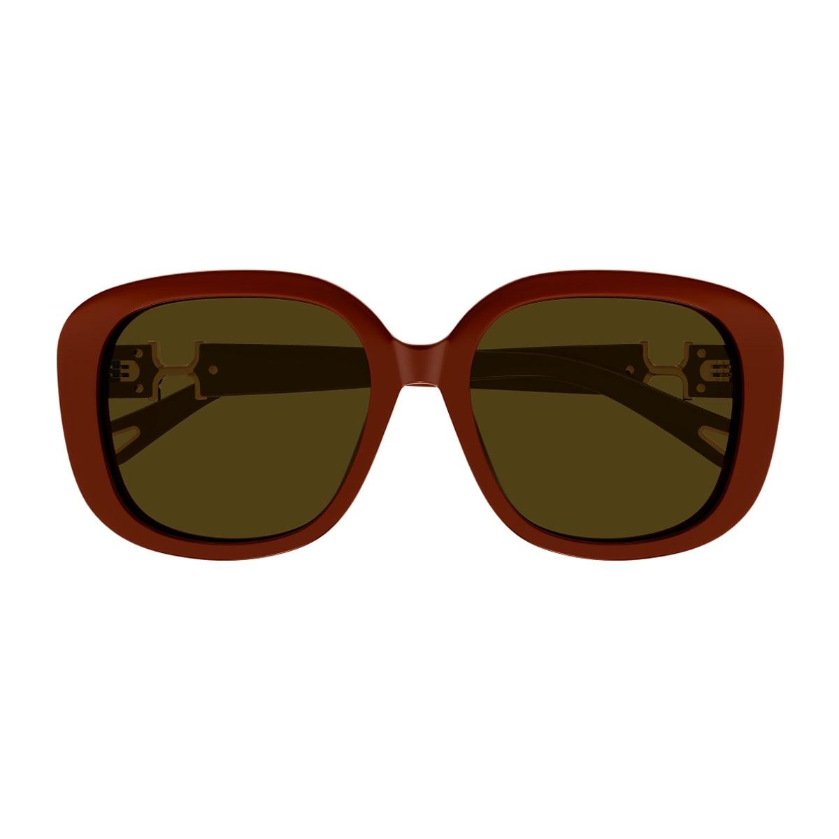chloé ch0303sk marcie-linea chloé 004 burgundy brown sunglasses