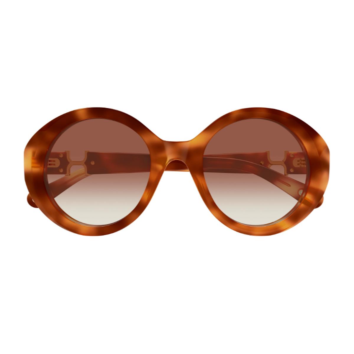 chloé ch0332s marcie- linea 003 havana brown recycled acetate occhiali da sole - women