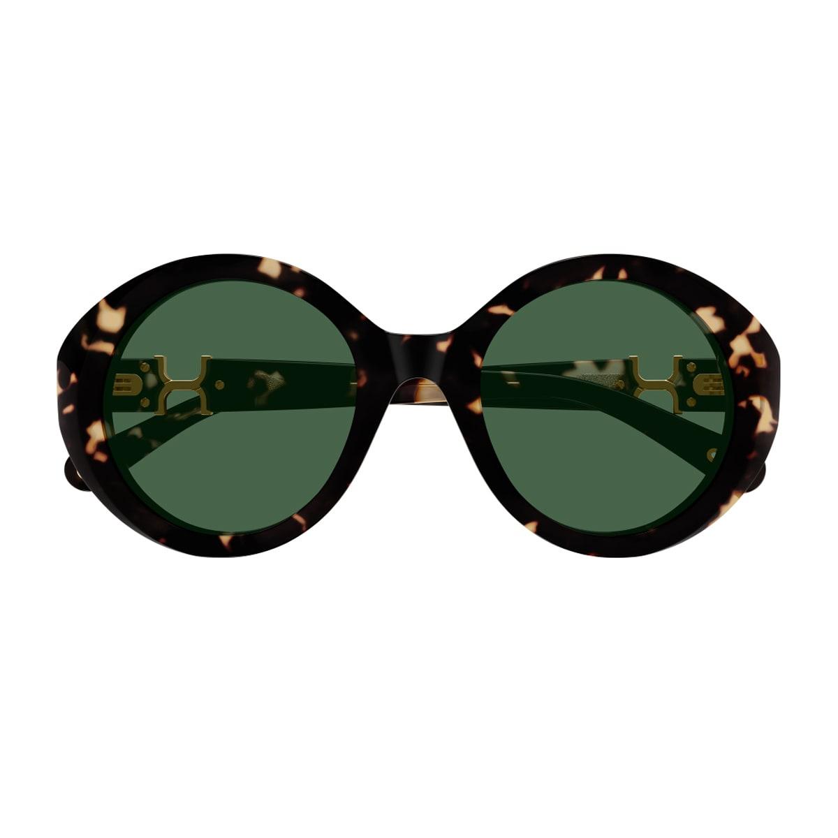 chloé ch0332s marcie- linea chloé 002 havana green sunglasses