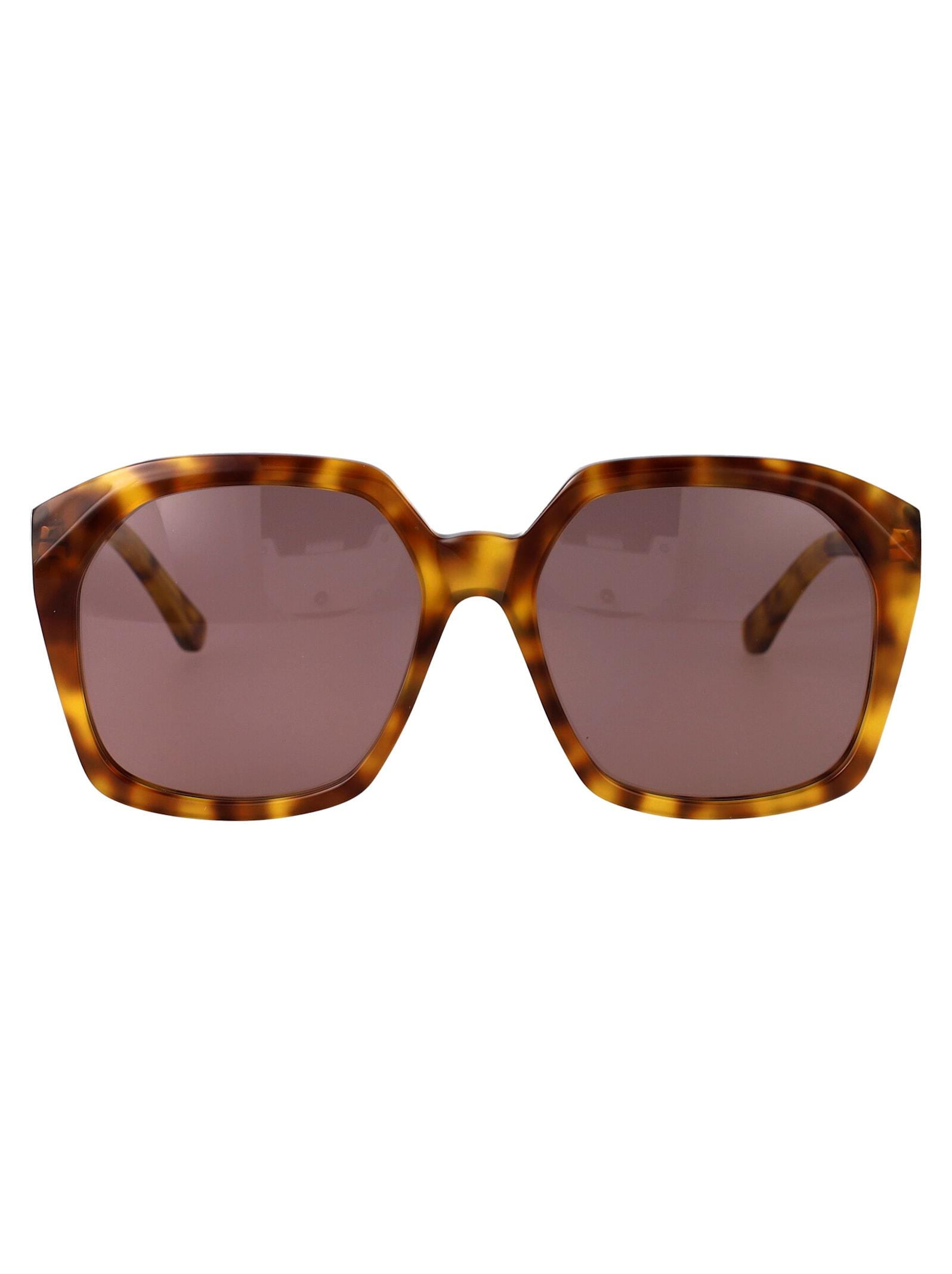 chloé eyewear ch0280s sunglasses