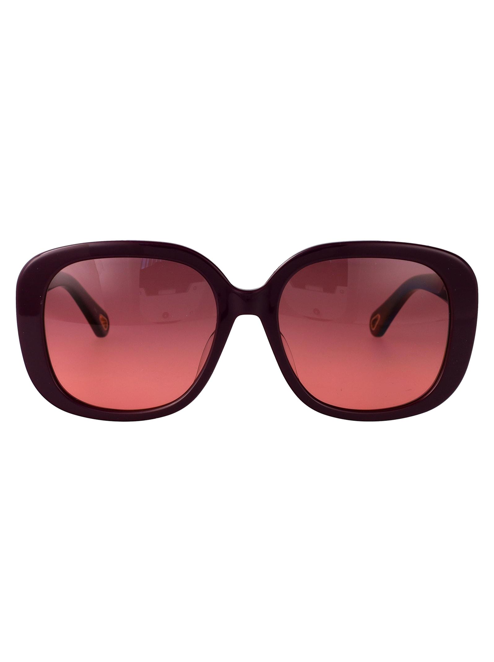 chloé eyewear ch0303sk sunglasses