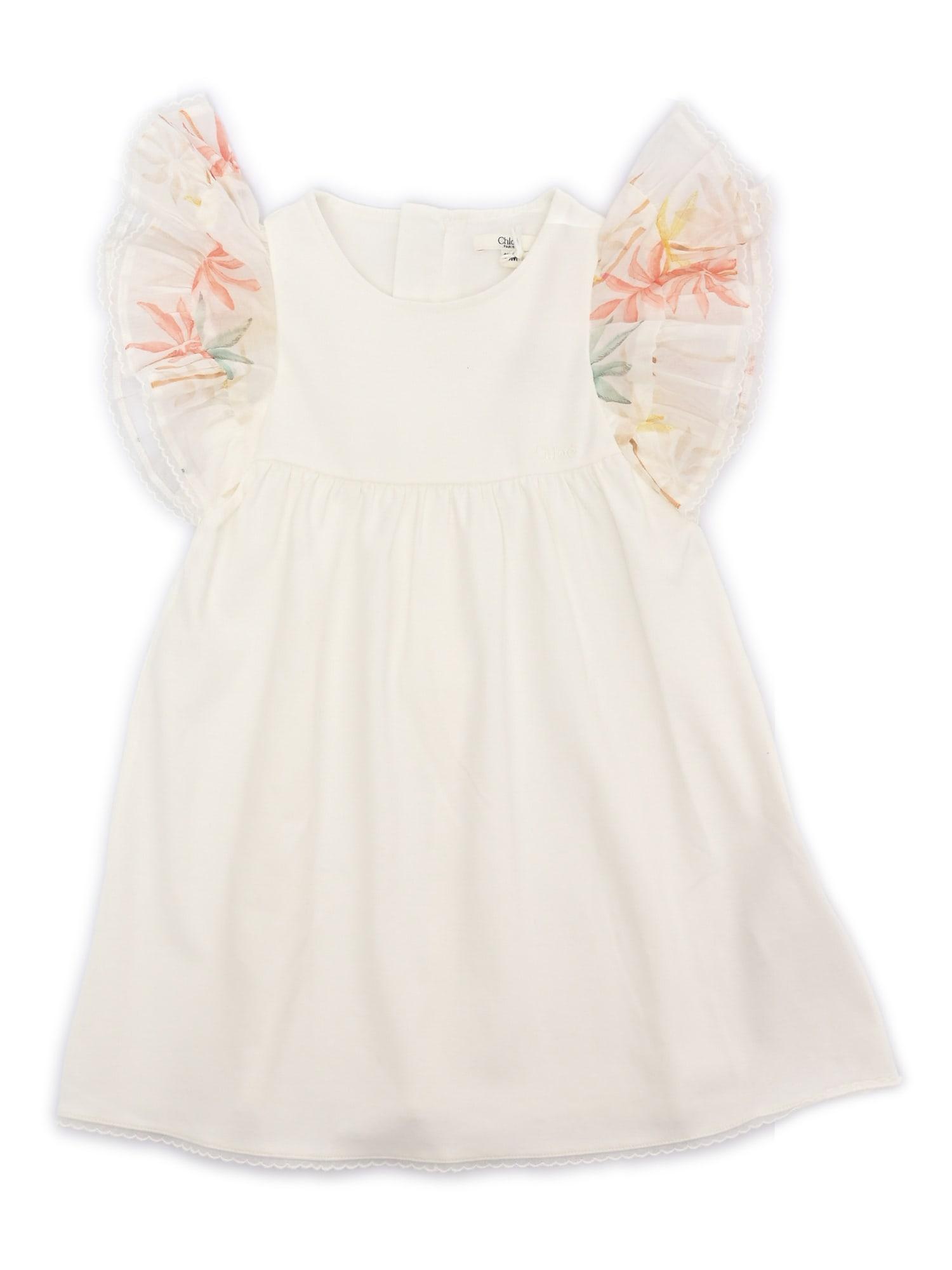 chloé short sleeves dress in 100% organic cotton interlock. ruffled sleeves in 100% organic cotton veil with palm grove seasonal print. chlo embroidery on