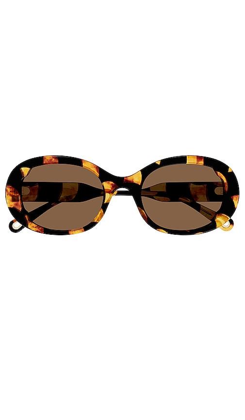 chloe lilli oval sunglasses in brown.