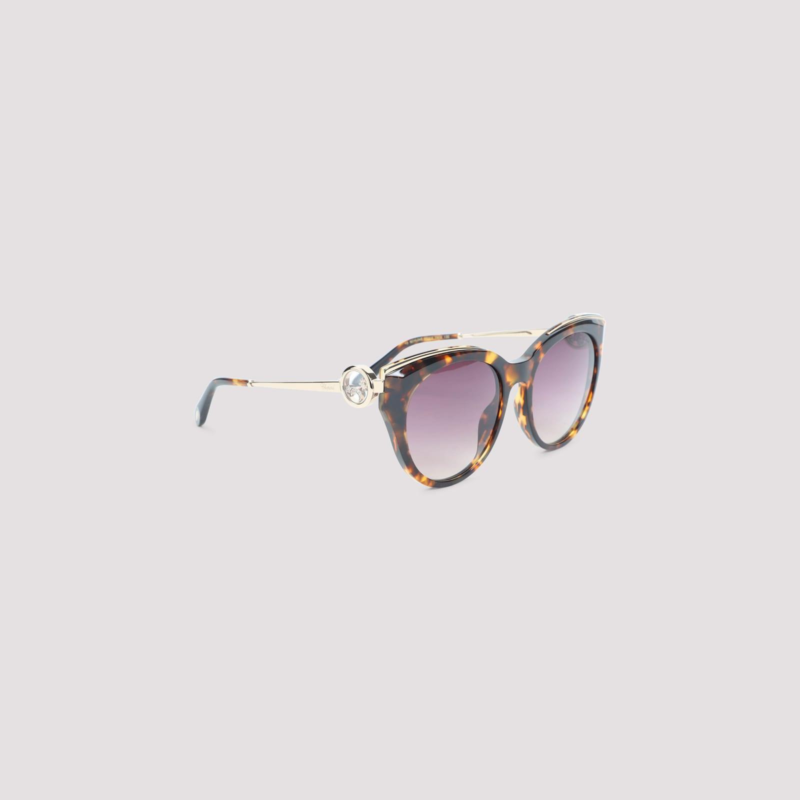 chopard acetate sunglasses