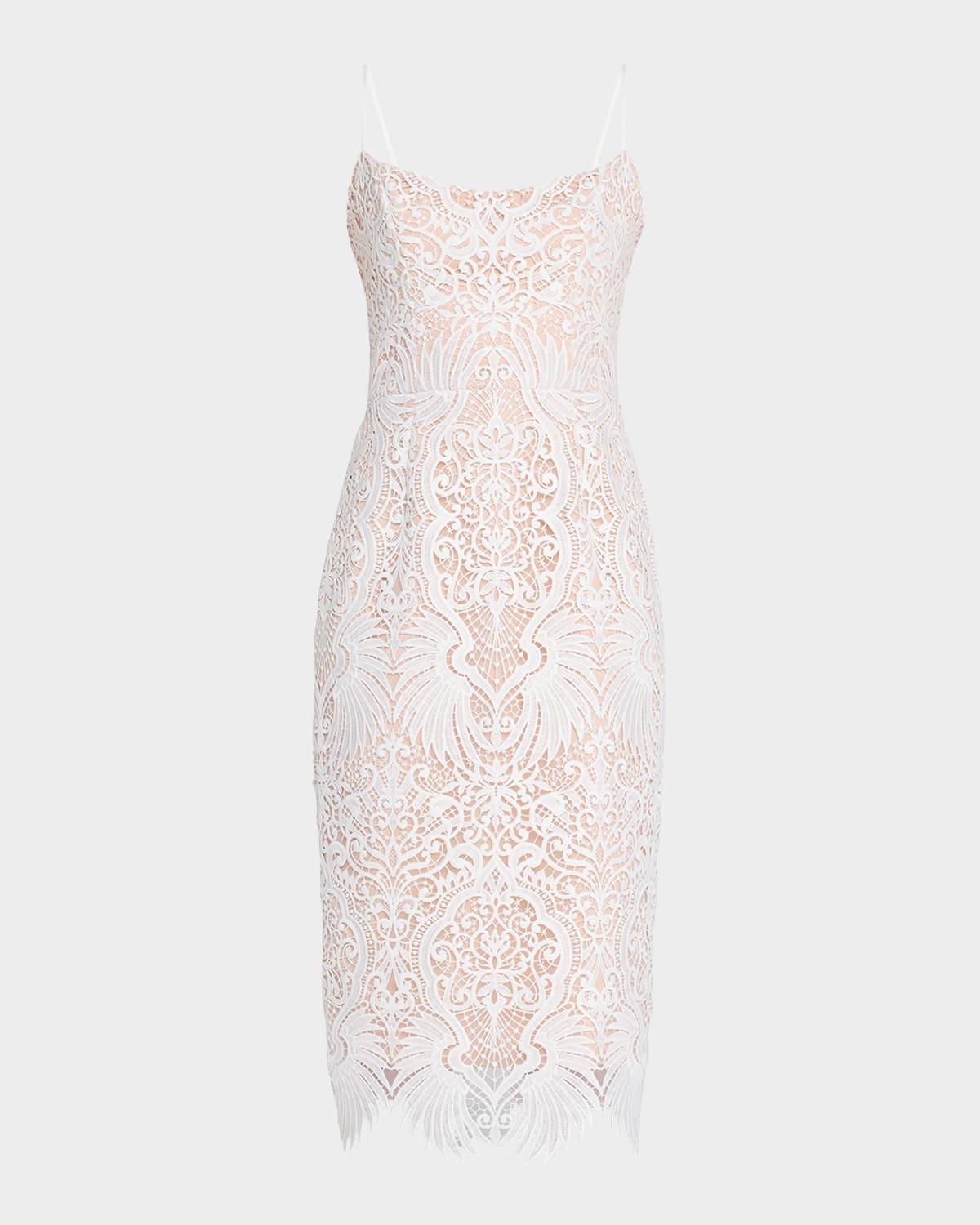 claudia embroidered sleeveless midi dress
