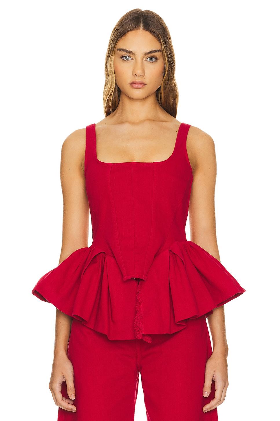 corset with pleated hip panels
