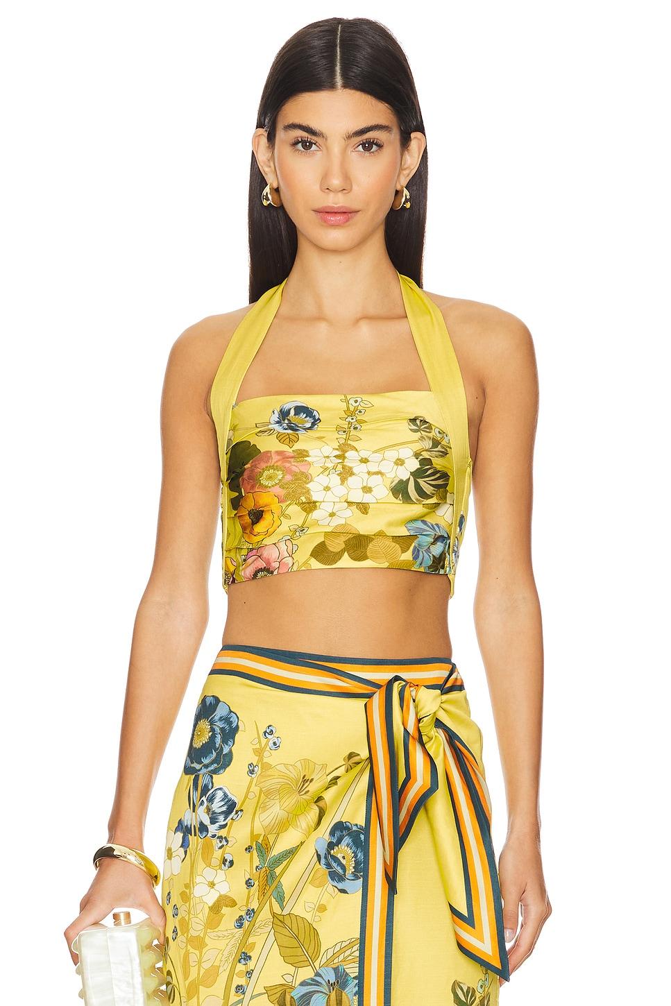 cresida crop top