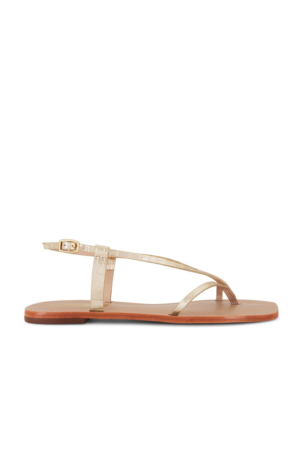 cristobal sandal