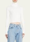 cropped fitted turtleneck top