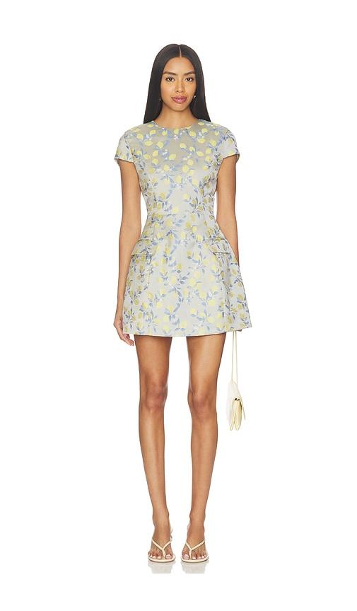 curaae by elliatt annie mini dress in light grey,yellow.