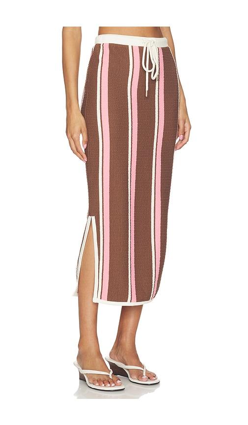 curaae by elliatt cady skirt in brown,pink.