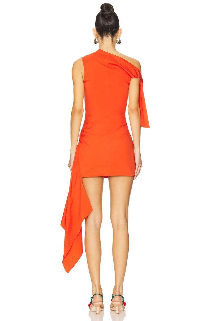 dahlia mini dress