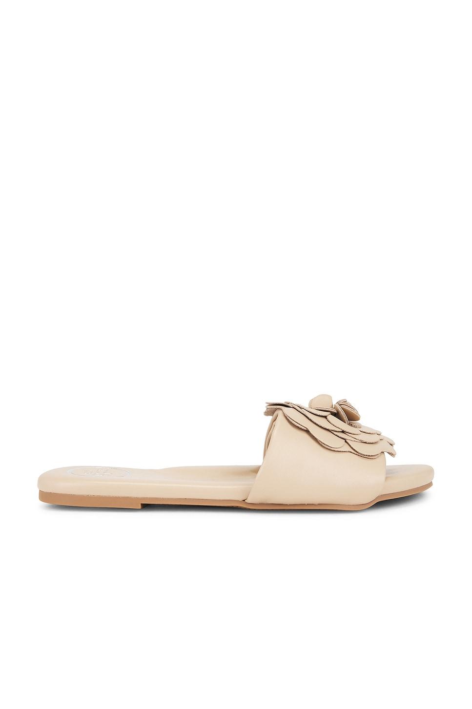 dahlie sandal