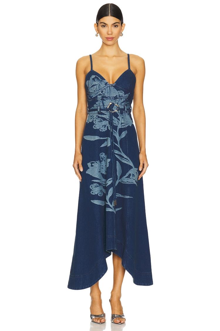 dana denim midi dress
