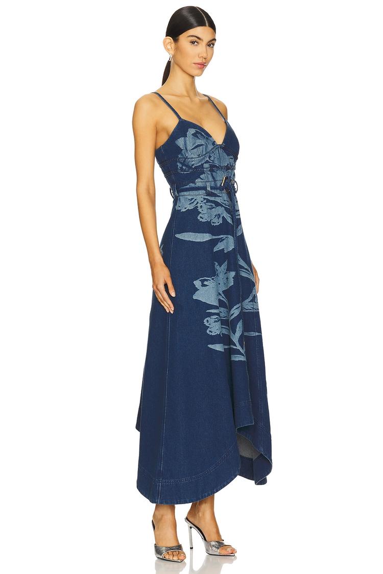 dana denim midi dress