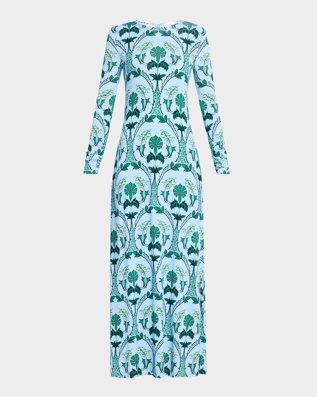 danae printed long-sleeve maxi dress