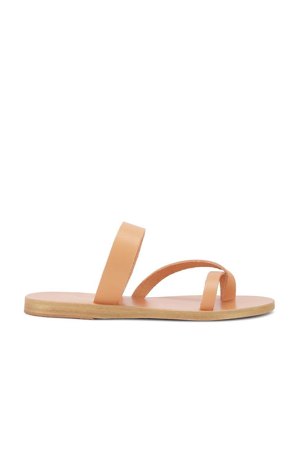 daphnae sandal