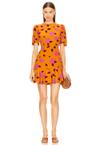 darcy dress