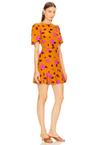 darcy dress