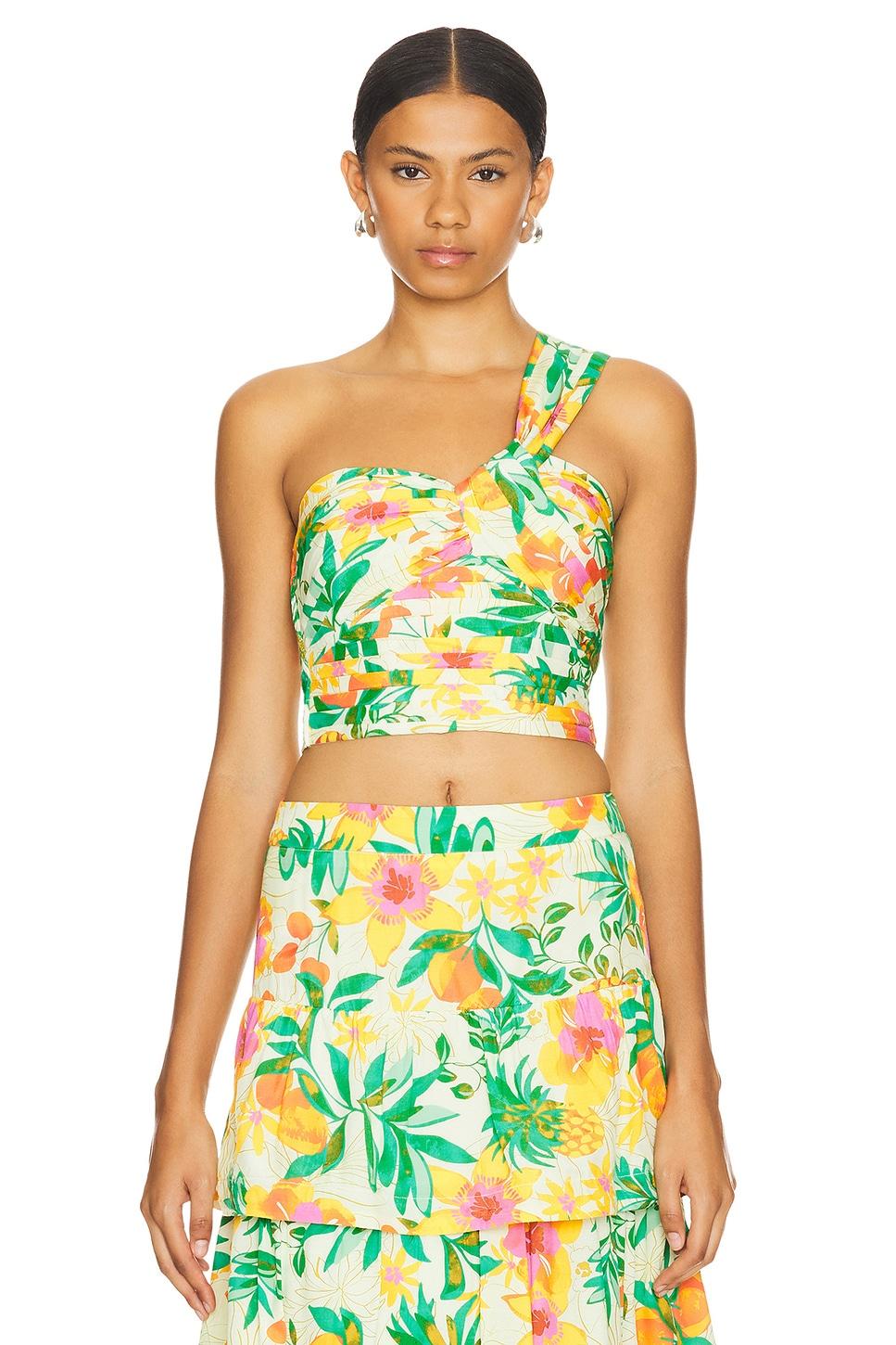 daya top