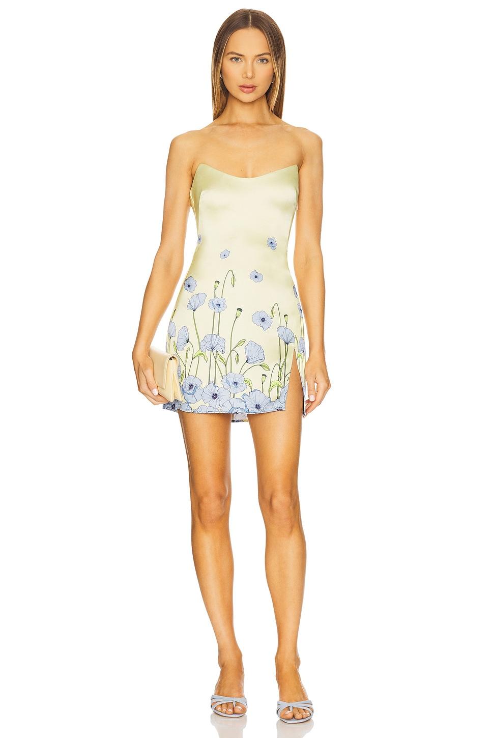 debra dress