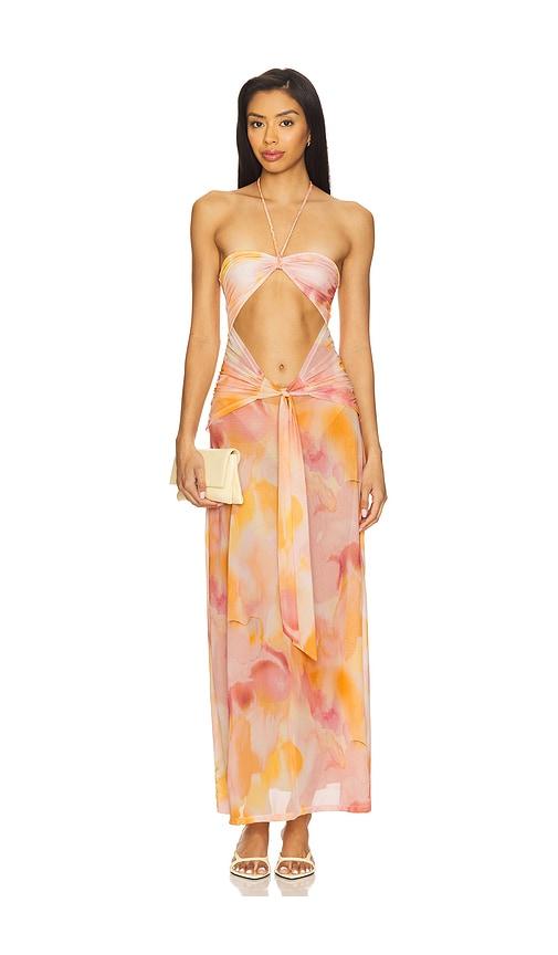 devon windsor berrie dress in orange,peach.