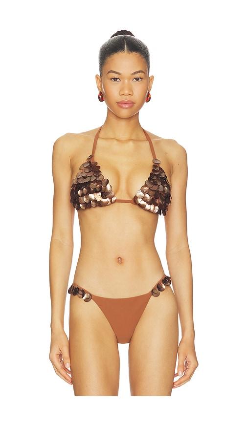 devon windsor cali top in brown.