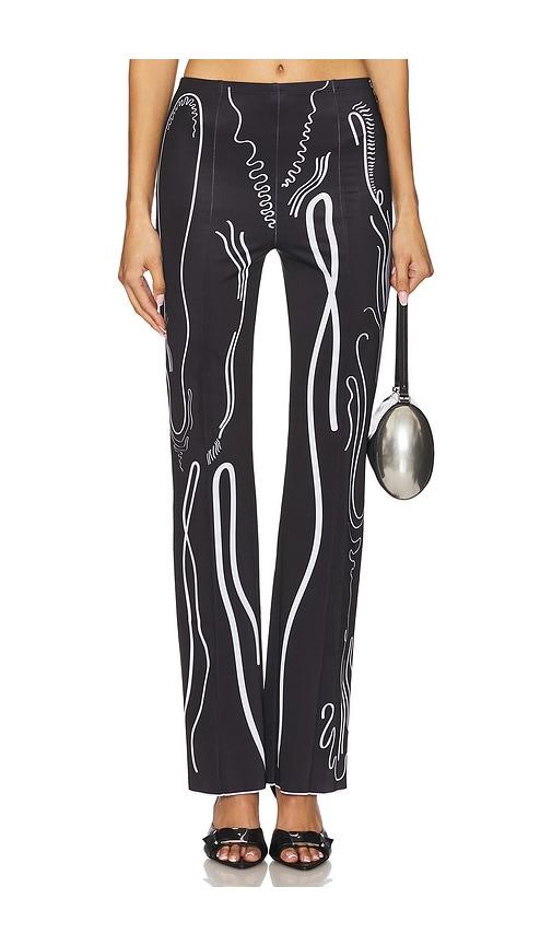 di petsa venus shell lycra trousers in black.