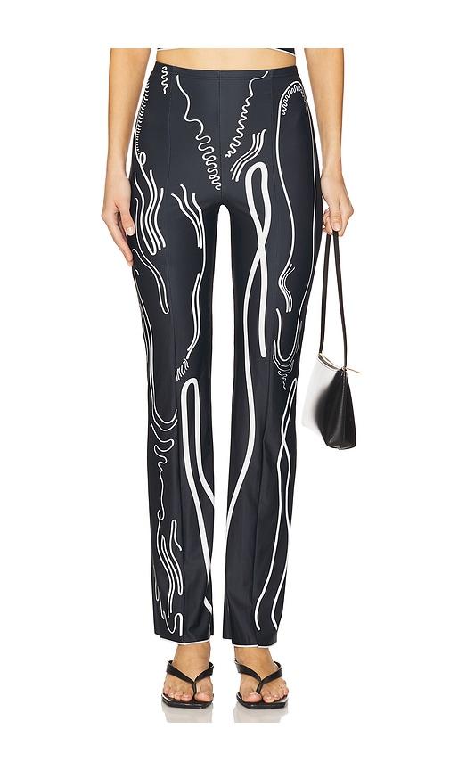 di petsa venus shell lycra trousers in black.