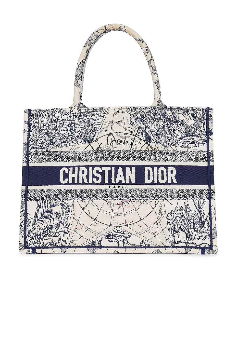 dior around the world book tote bag
