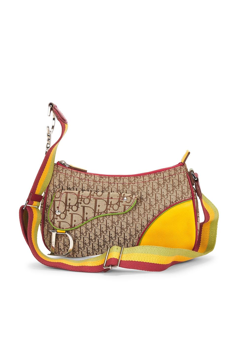 dior rasta trotter double saddle bag