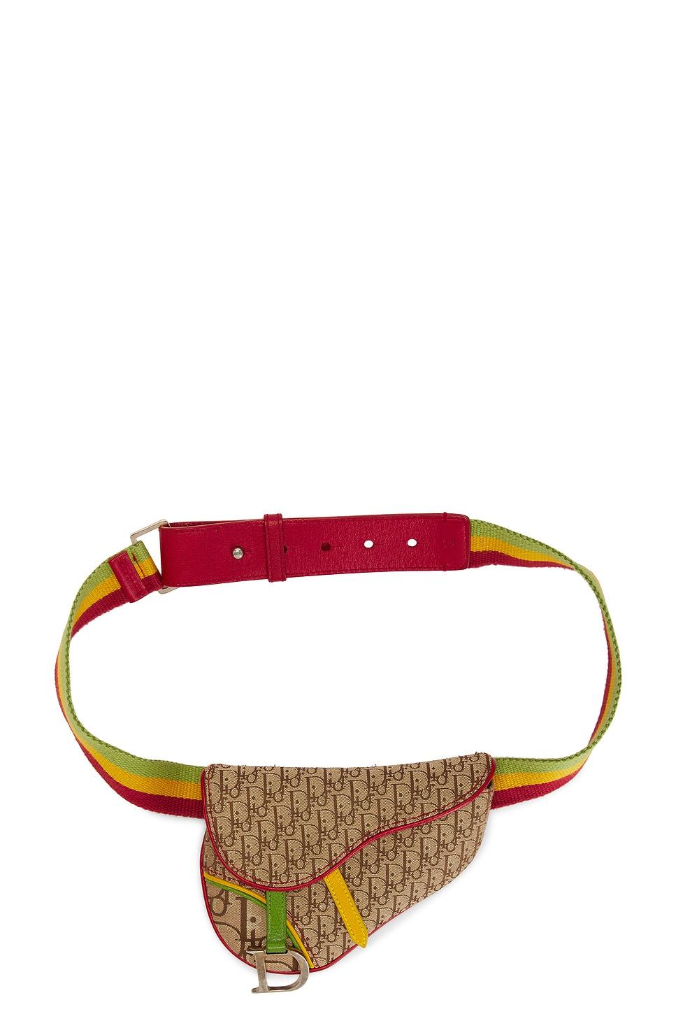 dior rasta trotter saddle waist bag