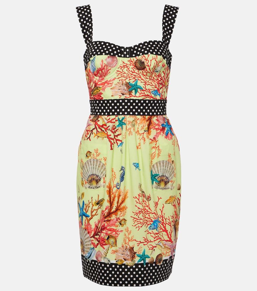 dolce & gabbana capri printed cotton minidress