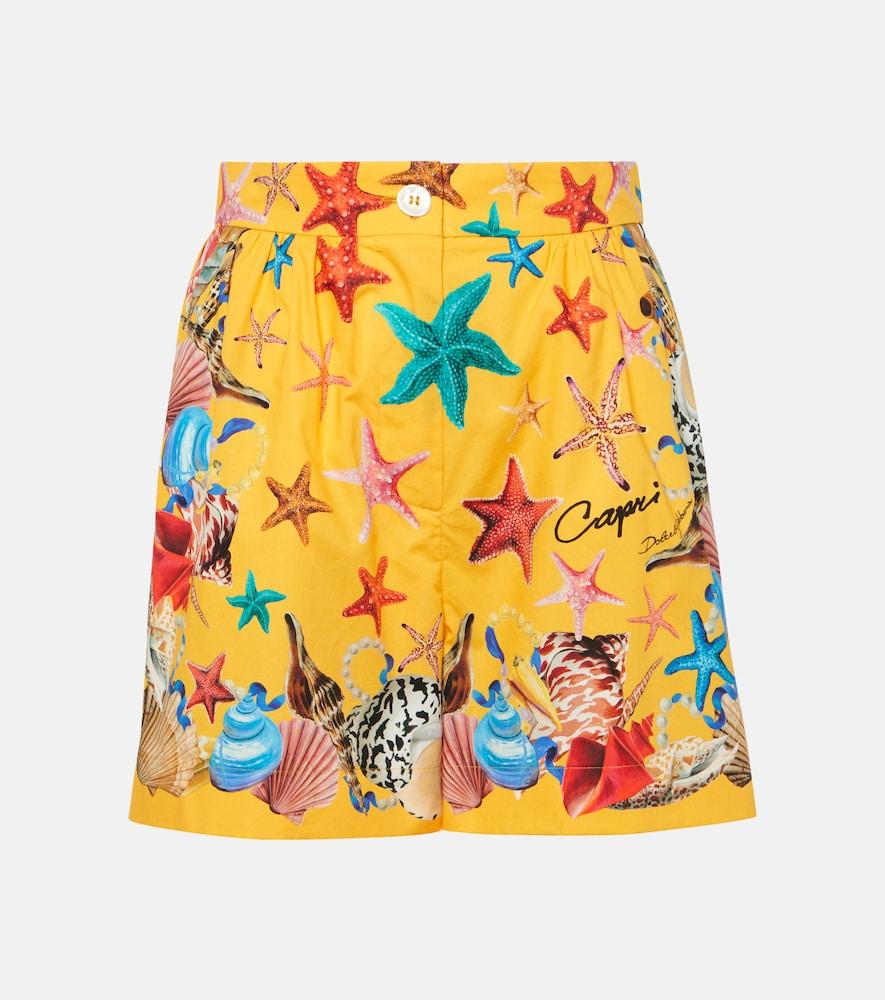 dolce & gabbana capri printed high